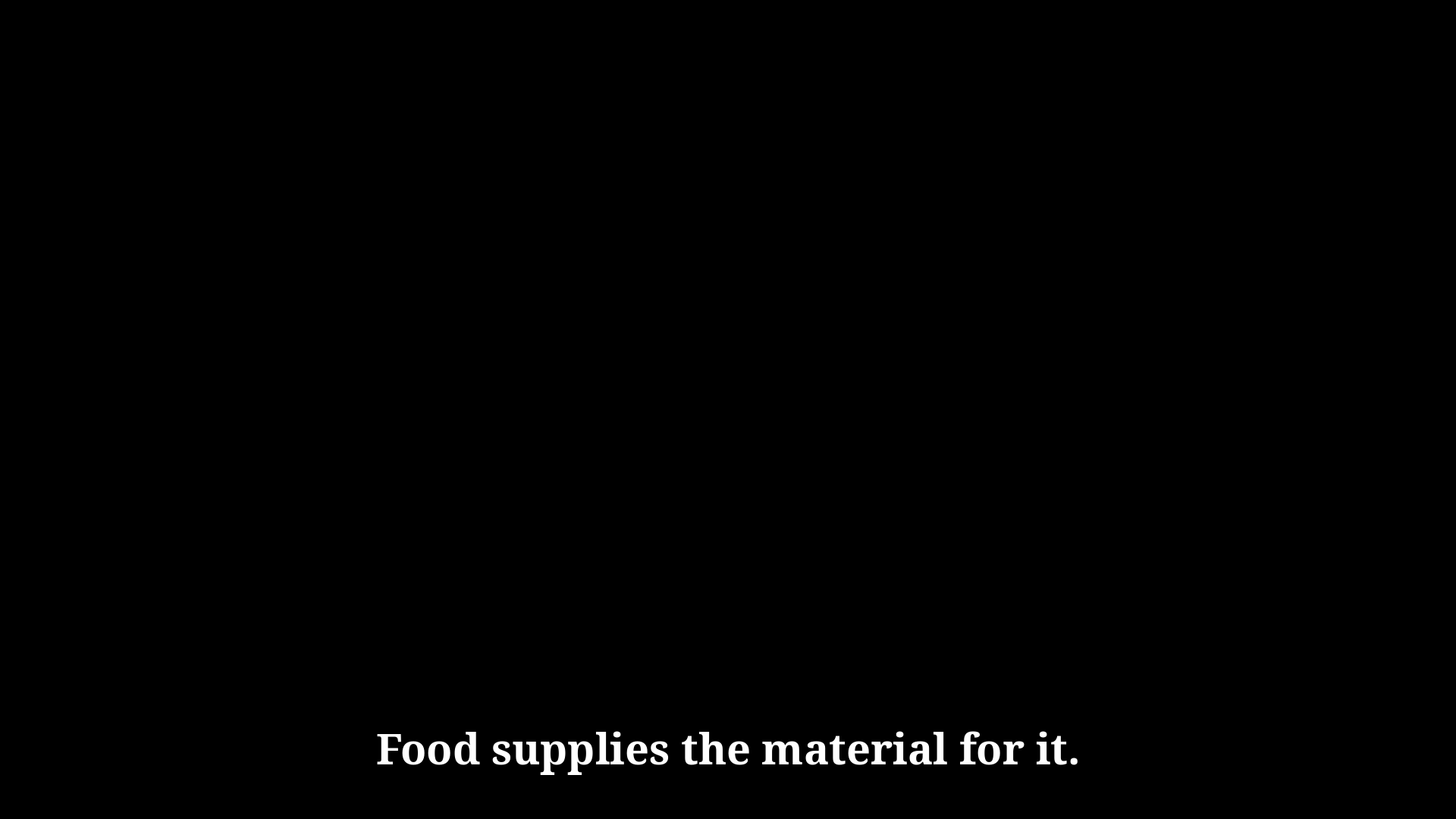 Slide 1